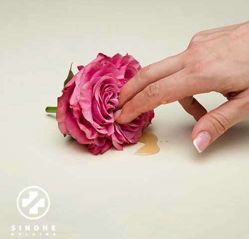 کاشت مو و خدمات زیبایی زنان؛ راهنمای جامع خرید تجهیزات و برندهای معتبر